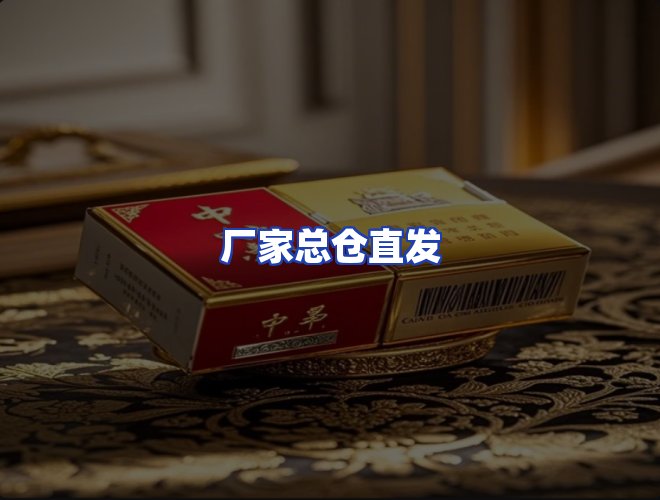 专业团队